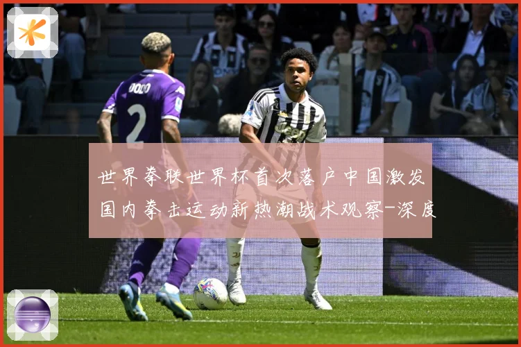 世界拳联世界杯首次落户中国激发国内拳击运动新热潮战术观察-深度解析