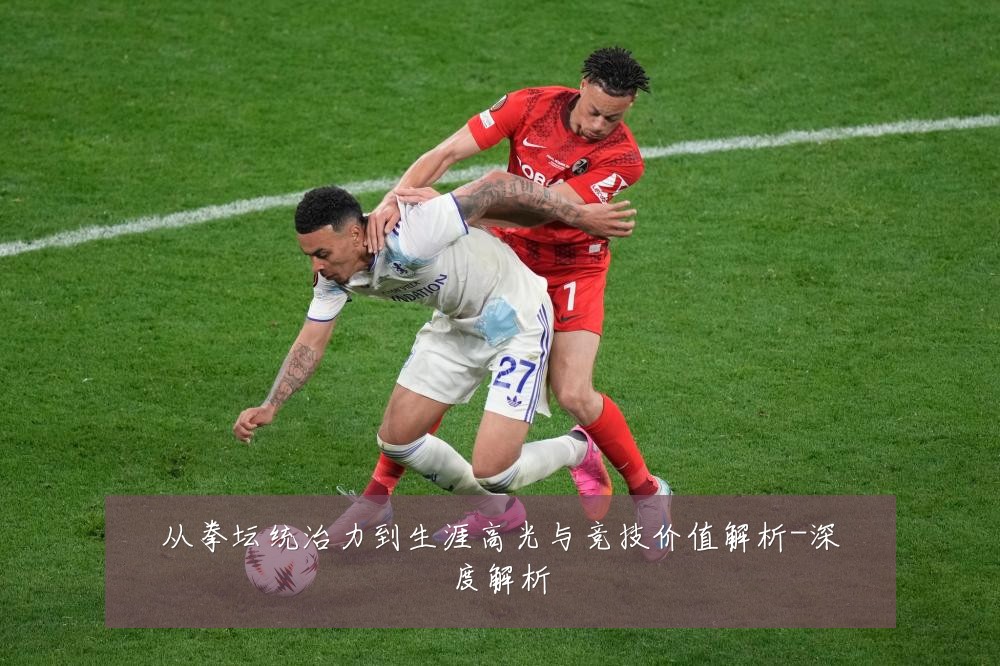 从拳坛统治力到生涯高光与竞技价值解析-深度解析