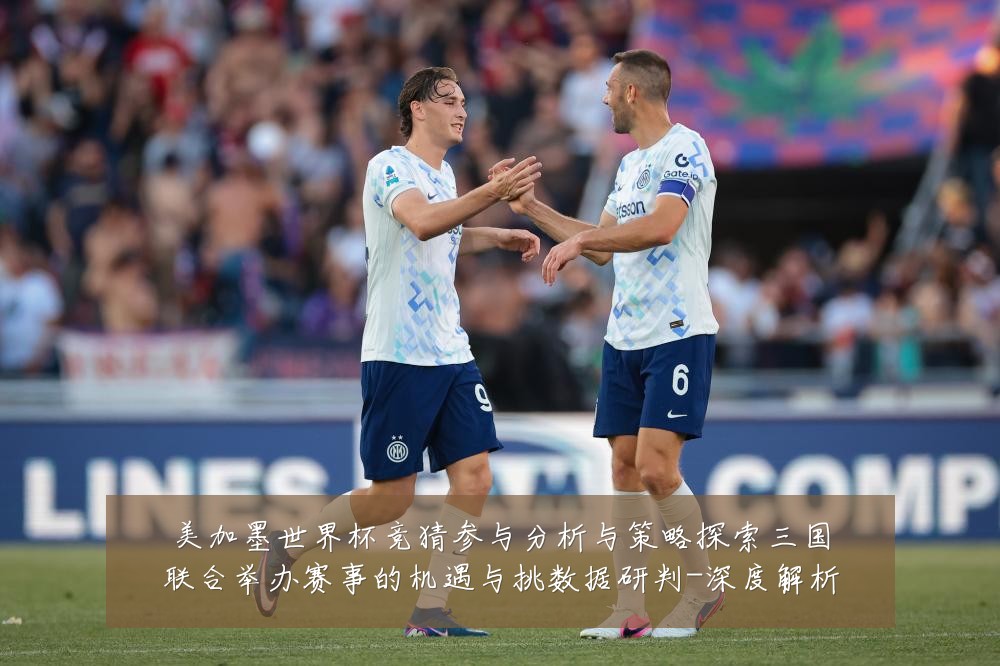 美加墨世界杯竞猜参与分析与策略探索三国联合举办赛事的机遇与挑数据研判-深度解析